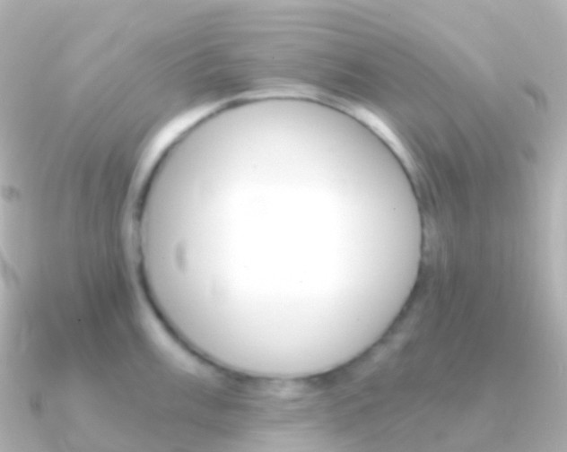 X0000091341003200708101016