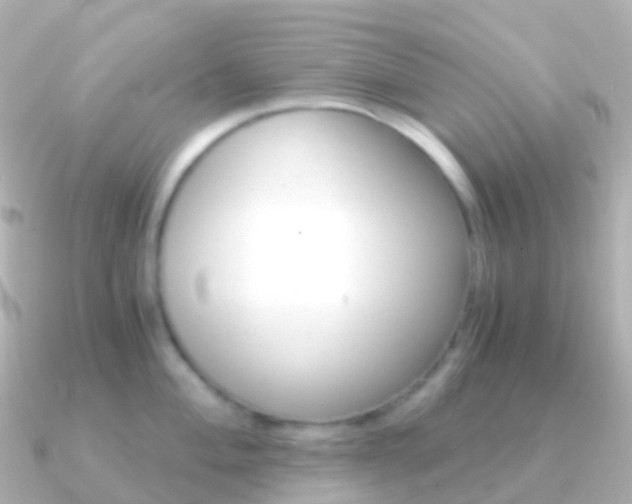 X0000091341004200708101016