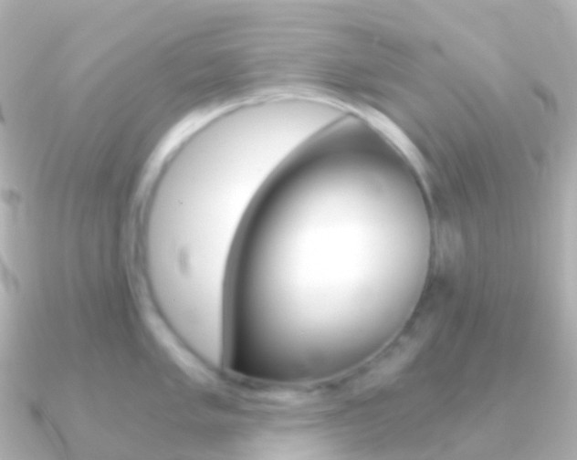 X0000091341005200708101016