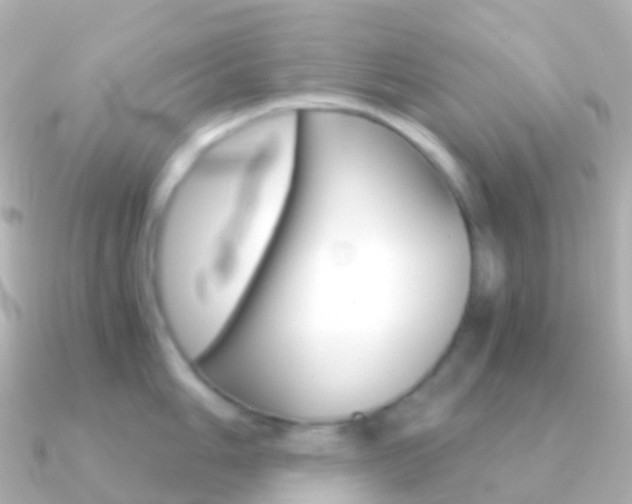 X0000091341006200708101016