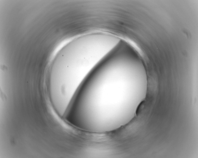 X0000091341007200708101016
