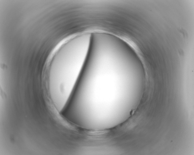 X0000091341008200708101016