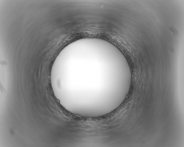 X0000091341009200708101015