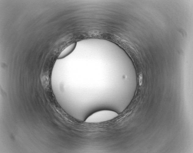 X0000091341011200708101015