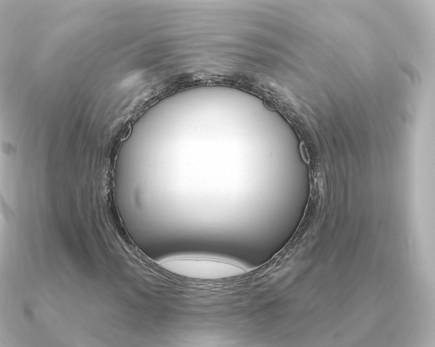 X0000091341012200708101015
