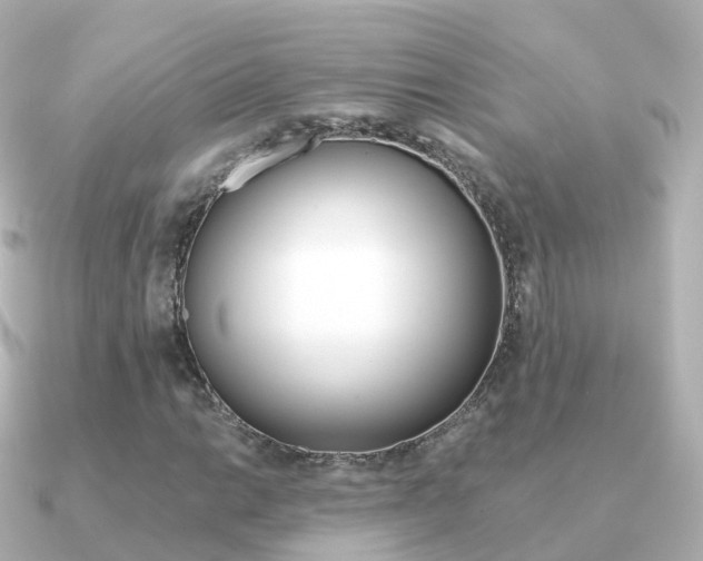 X0000091341014200708101015