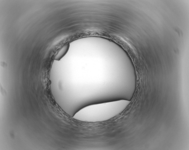 X0000091341015200708101015