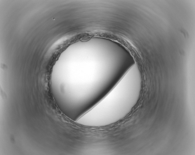 X0000091341016200708101015
