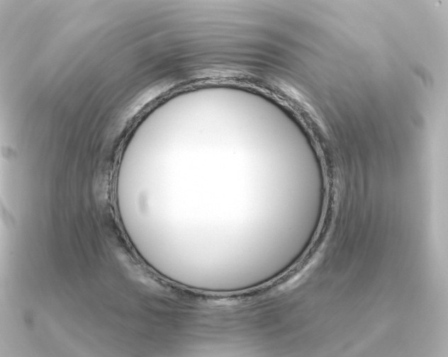 X0000091341017200708101015