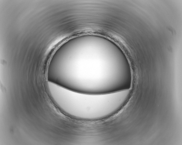 X0000091341018200708101015