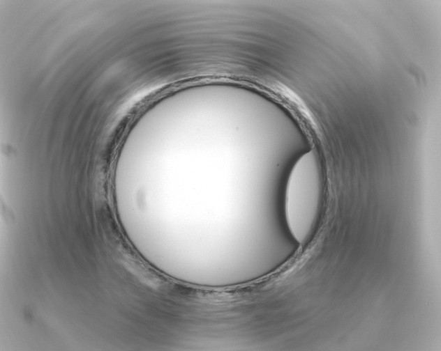 X0000091341019200708101015