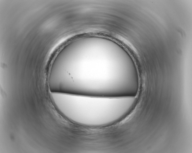 X0000091341021200708101015