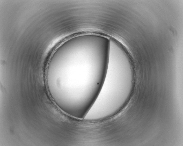X0000091341022200708101015