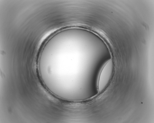X0000091341024200708101015