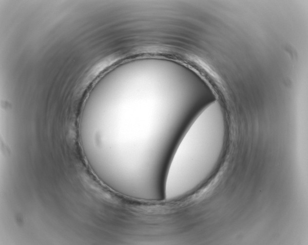 X0000091341025200708101015