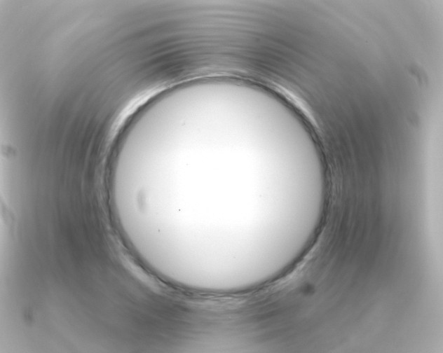 X0000091341026200708101015