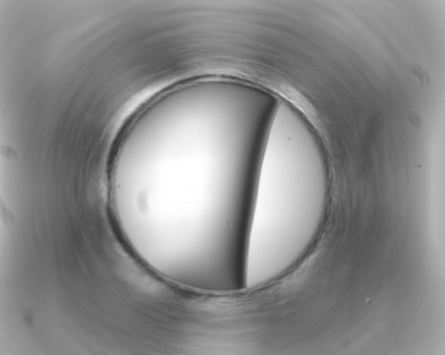 X0000091341028200708101015