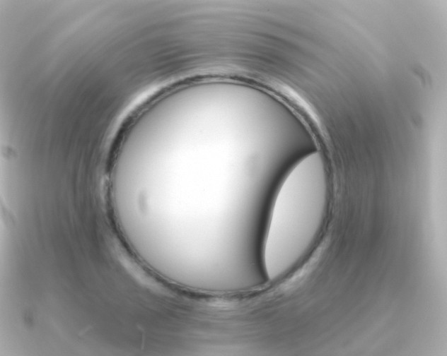 X0000091341029200708101015