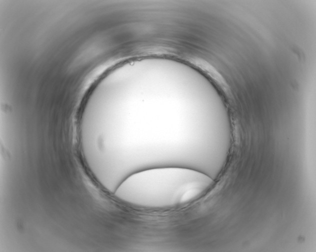 X0000091341031200708101016