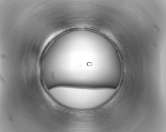 X0000091341032200708101016