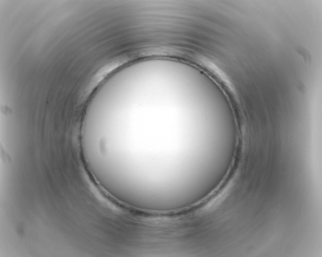 X0000091341033200708101016