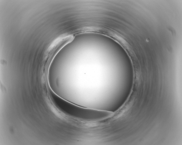 X0000091341034200708101016