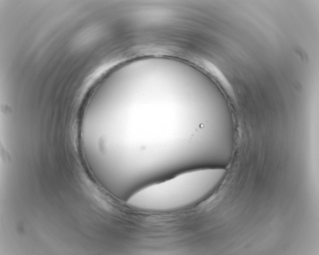 X0000091341035200708101016