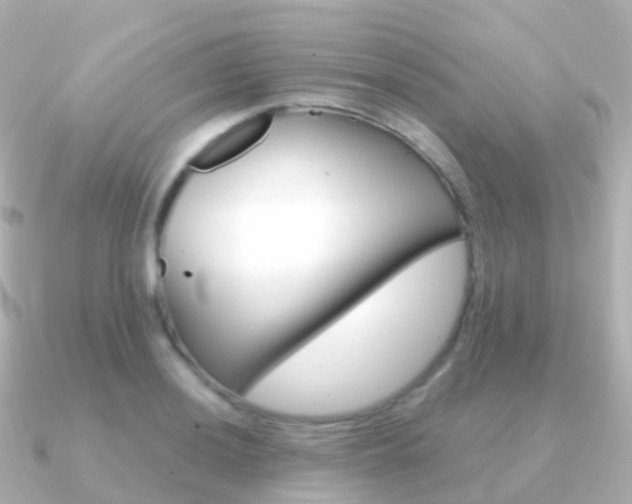 X0000091341036200708101016