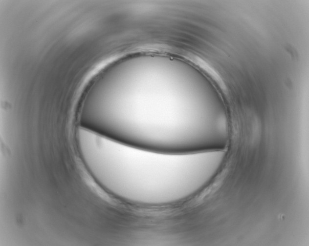 X0000091341037200708101016