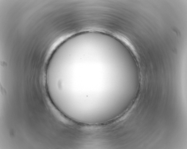 X0000091341040200708101016