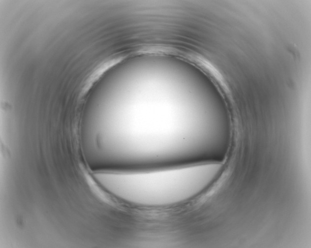 X0000091341041200708101016