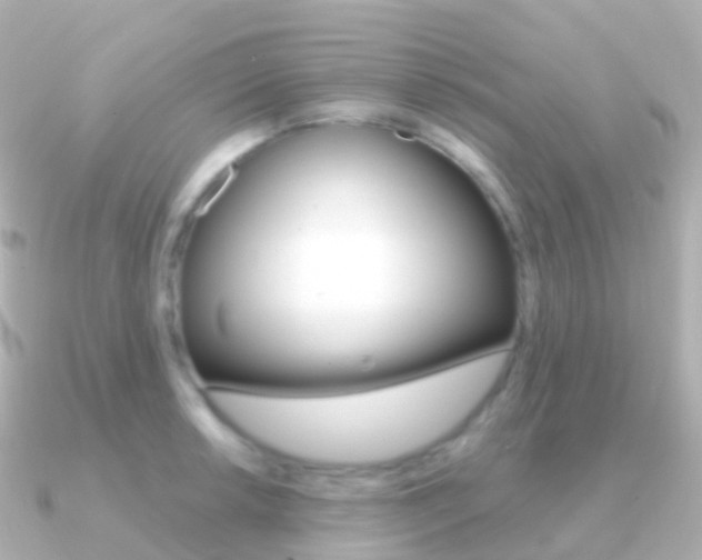 X0000091341042200708101016