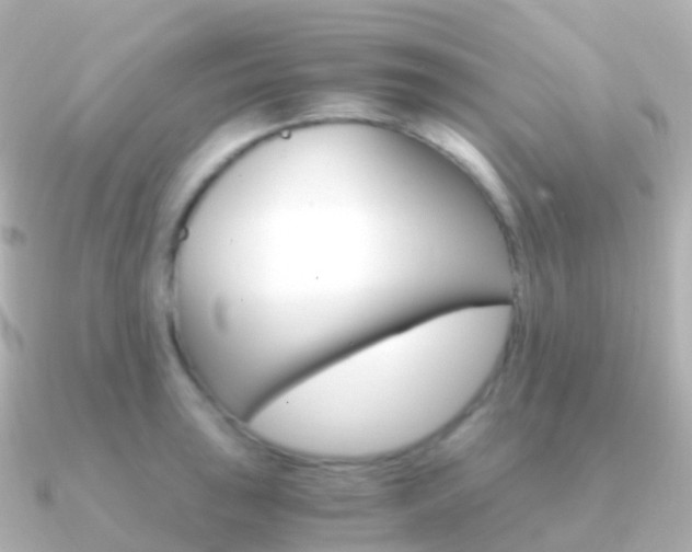 X0000091341043200708101016