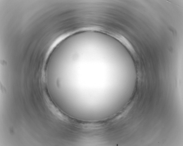 X0000091341044200708101016