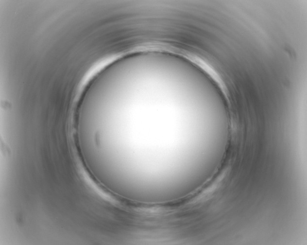 X0000091341045200708101016