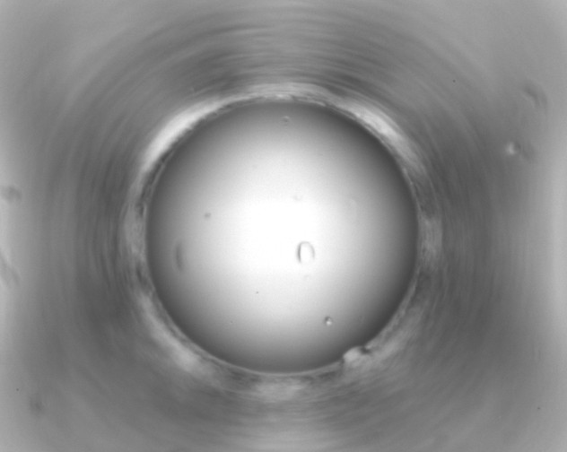 X0000091341046200708101016