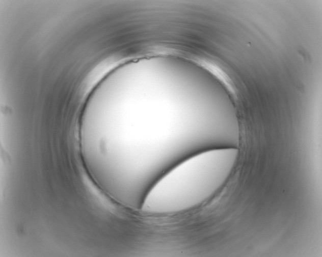 X0000091341047200708101016