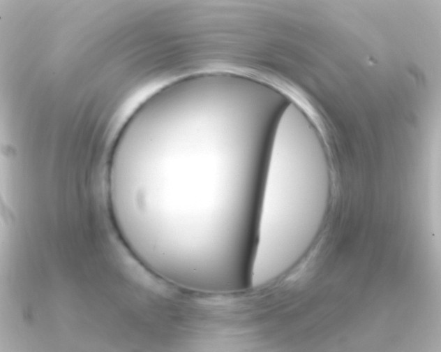 X0000091341048200708101016