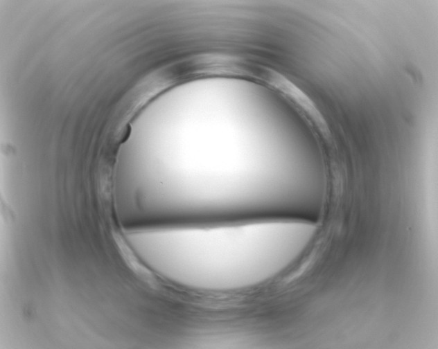 X0000091341049200708101016
