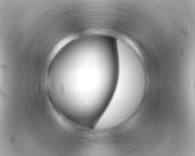 X0000091341050200708101016