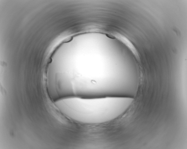 X0000091341051200708101016
