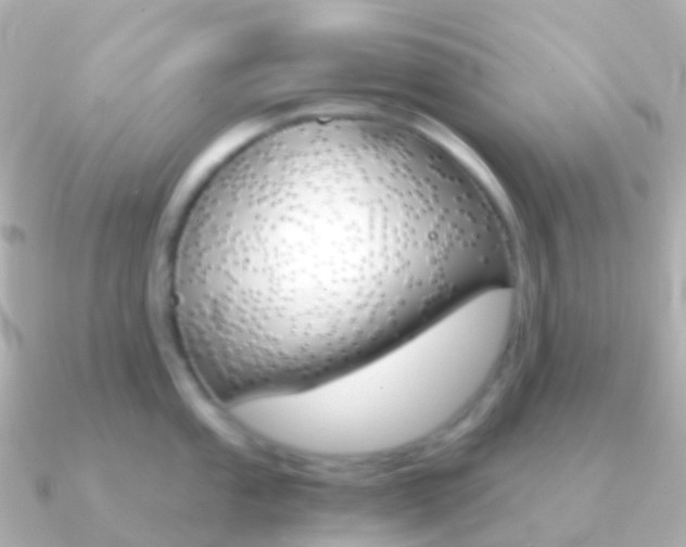 X0000091341053200708101016