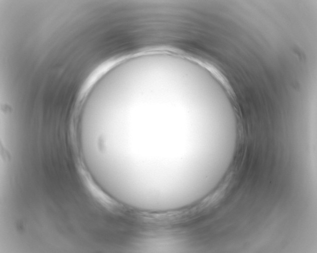 X0000091341054200708101016