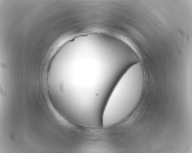 X0000091341055200708101016