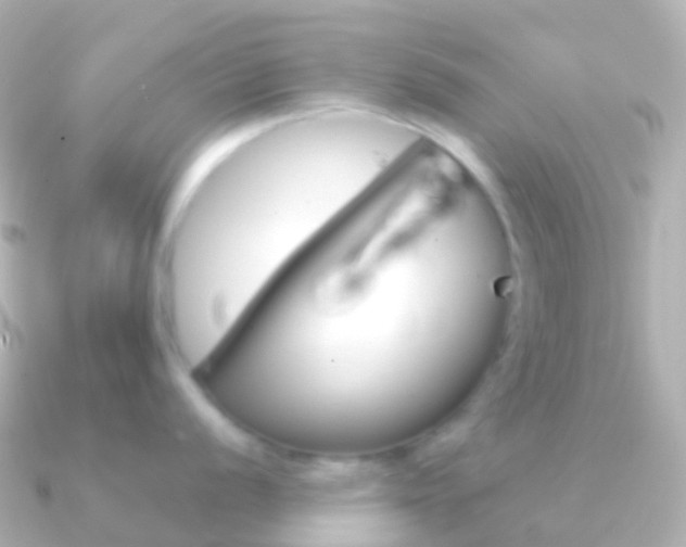 X0000091341056200708101016