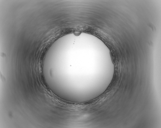 X0000091341058200708101015