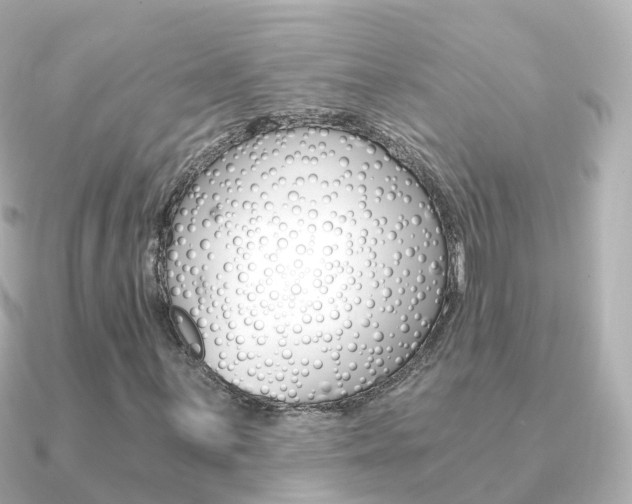 X0000091341059200708101015