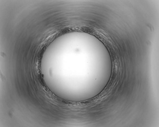 X0000091341060200708101015