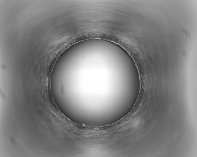 X0000091341061200708101015
