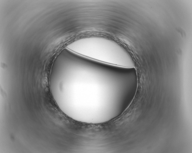 X0000091341062200708101015